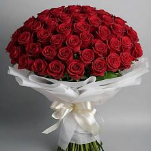 Букет 101 Красная роза Блэк Мэджик в Тихвине