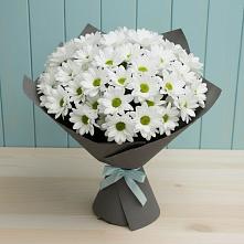 Букет цветов из:  Хризантемы в Тихвине