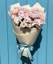 Букет цветов из:  Хризантемы в Тихвине