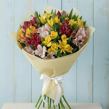 Букет цветов из:  Альстромерии в Тихвине