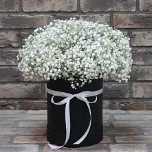 Цветочная композиция из Гипсофила в шляпной коробке в Тихвине