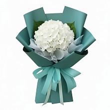 Букет цветов из:  Гортензия в Тихвине